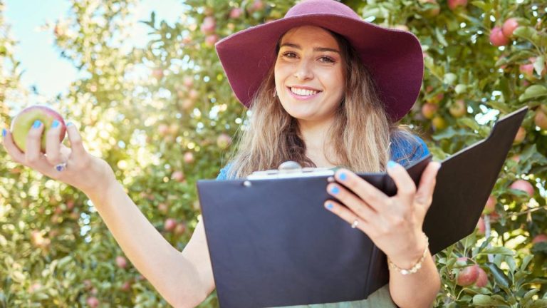 Azok Aranykalászos gazdák: Kik azok? - Webproagency Blog
